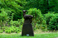 hoge_veluwe_TH_1197