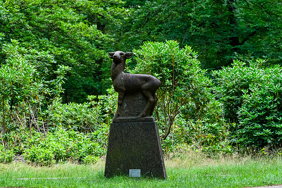 hoge_veluwe_TH_1197
