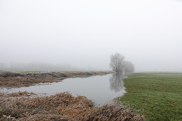mist_omgeving_TH_0051