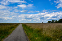 hoge_veluwe_TH_1191
