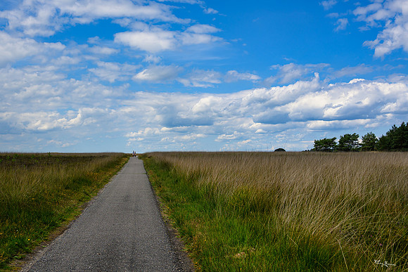hoge_veluwe_TH_1191