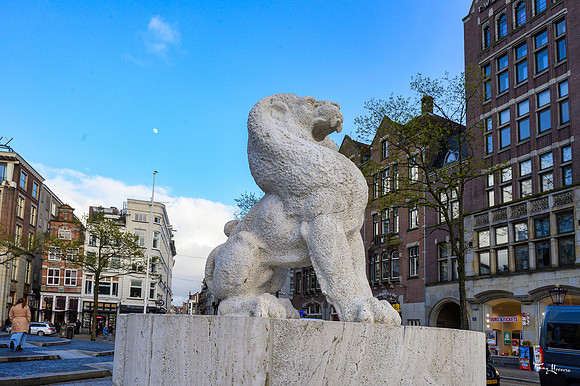 amsterdam_TH_0743