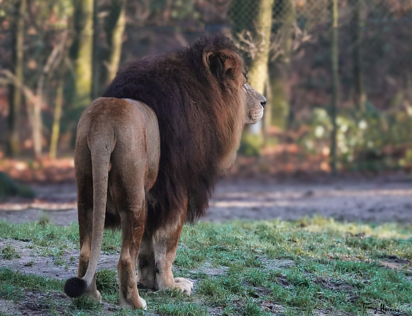 burgerszoo_TH_0030