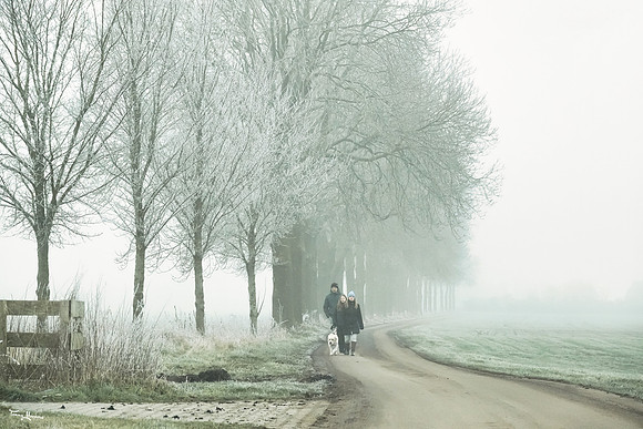 mist_omgeving_TH_0053
