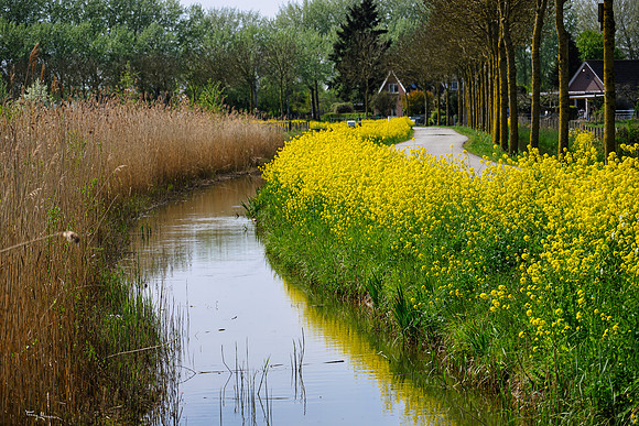 lingezegen_TH_0633