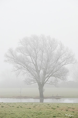 mist_omgeving_TH_0040