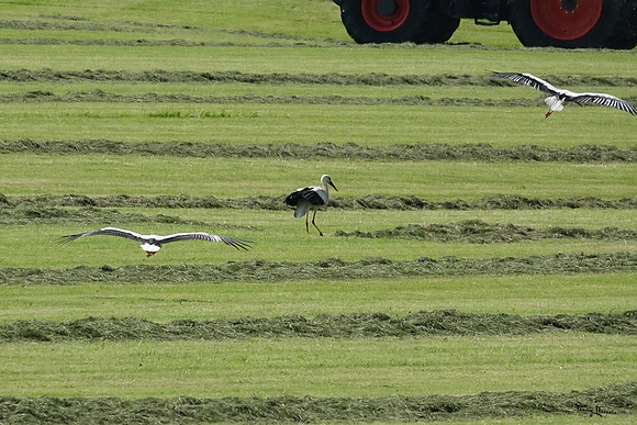 rondje_scoot_TH_0912