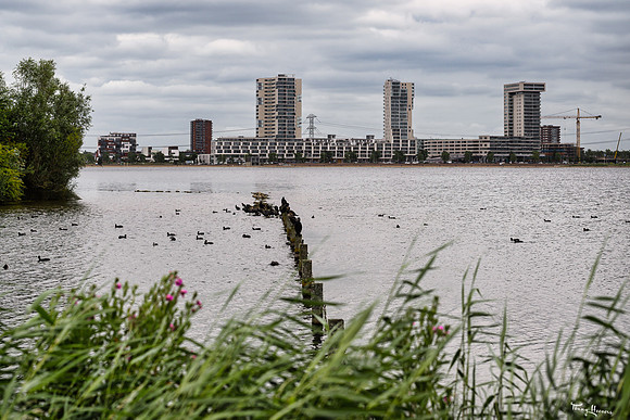 zevenhuizerplas_TH_1302