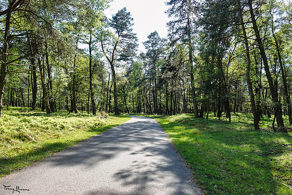 rondje_scoot_TH_0561