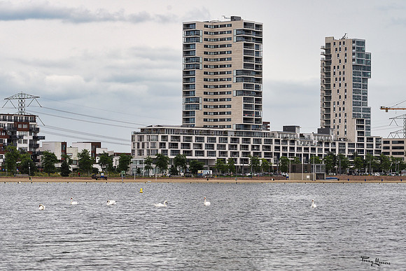 zevenhuizerplas_TH_1309