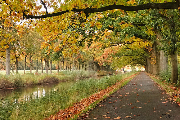 apeldoorndierens_kanaal_TH_1847