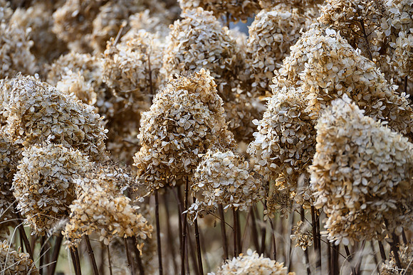 test_test_TH_0195