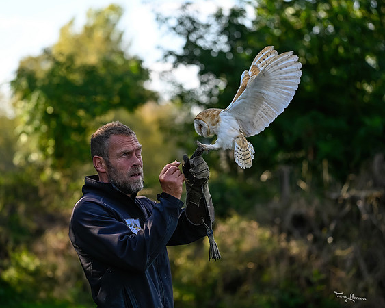 valk_roofvogels_TH_1761