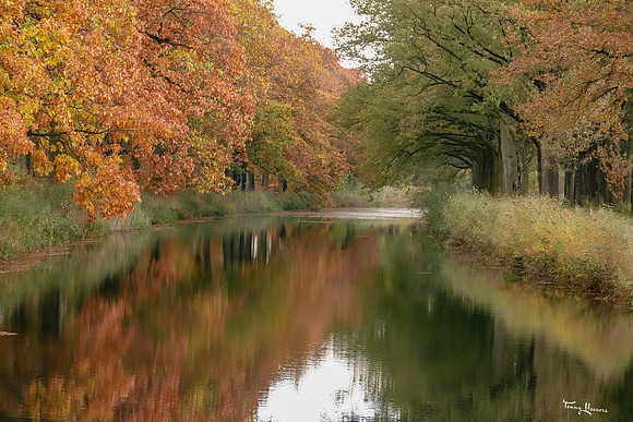 apeldoorndierens_kanaal_TH_1849