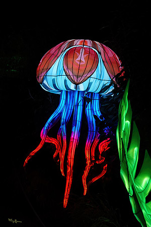 ouwehand_light_zoo_TH_0099