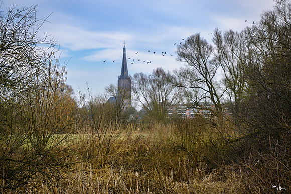 rondje_scoot_TH_0306