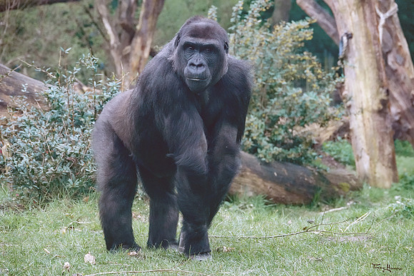 burgerszoo_TH_0497