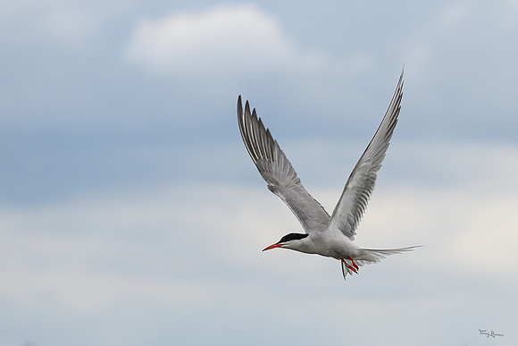 lingezegen_TH_1299