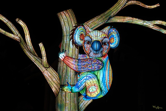 ouwehand_light_zoo_TH_0086