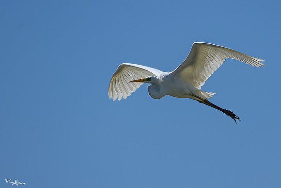 lingezegen_TH_0741
