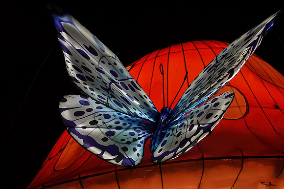 ouwehand_light_zoo_TH_0088
