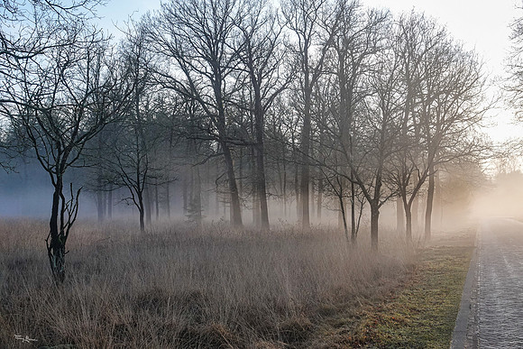 hogeveluwe_TH_0132