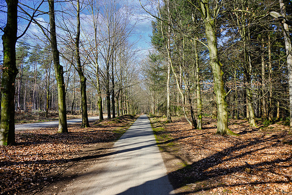 rondje_scoot_TH_0296