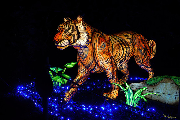 ouwehand_light_zoo_TH_0071
