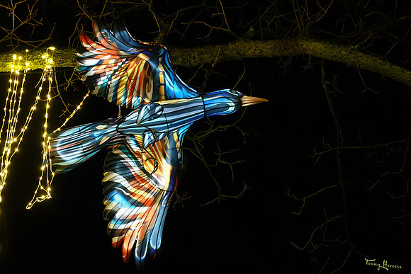 ouwehand_light_zoo_TH_0065