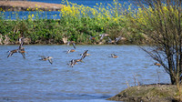 lingezegen_TH_0483