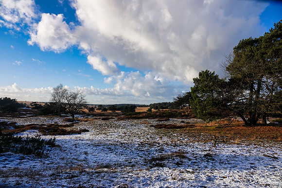 rondje_scoot_TH_0010