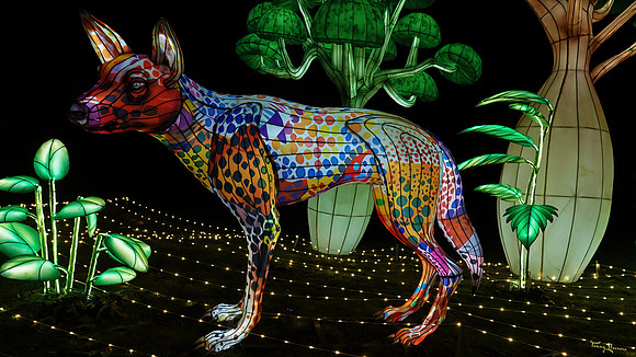 ouwehand_light_zoo_TH_0091
