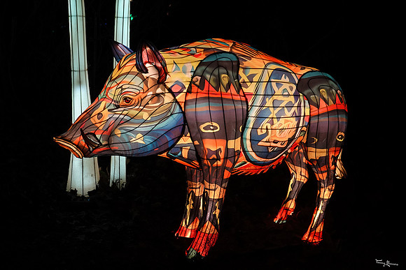 ouwehand_light_zoo_TH_0107