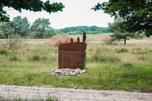 hogeveluwe_TH_1342