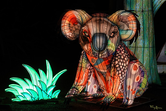 ouwehand_light_zoo_TH_0085