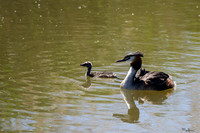 lingezegen_TH_0736