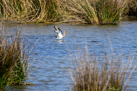 lingezegen_TH_0480