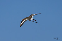 lingezegen_TH_0485