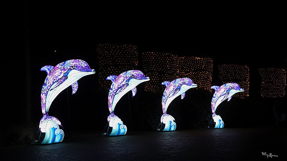 ouwehand_light_zoo_TH_0117