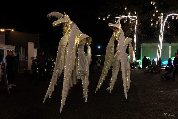 ouwehand_light_zoo_TH_0078