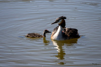 lingezegen_TH_0734