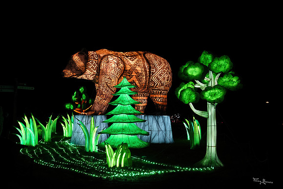 ouwehand_light_zoo_TH_0103