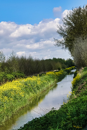 lingezegen_TH_0597