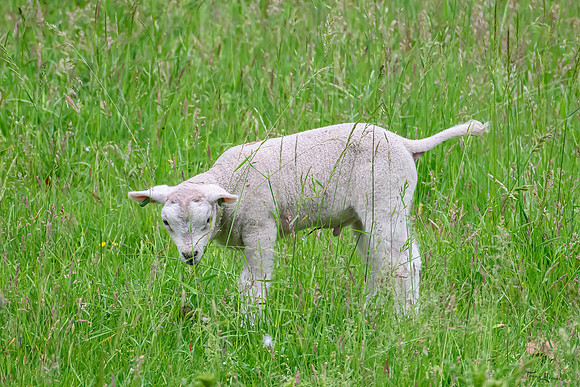 bronsbergen_TH_0952
