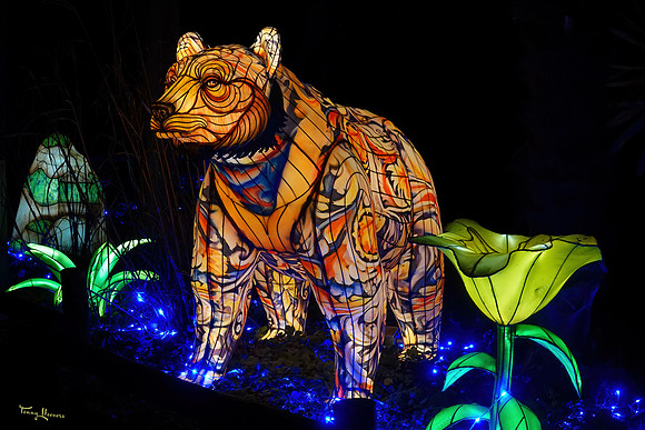 ouwehand_light_zoo_TH_0068