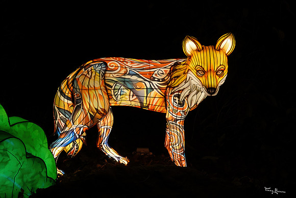 ouwehand_light_zoo_TH_0102