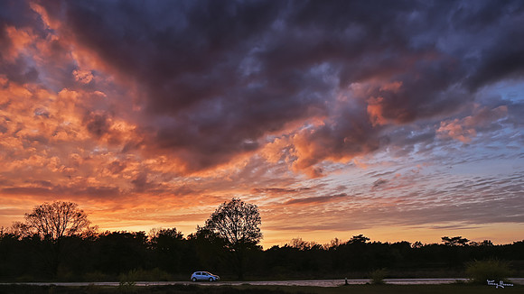 hunebed_d54_havelterberg_TH_0474