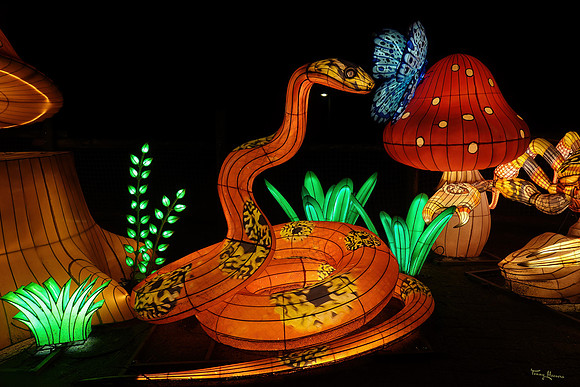 ouwehand_light_zoo_TH_0089