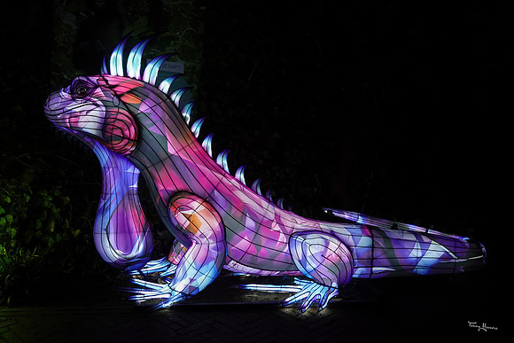 ouwehand_light_zoo_TH_0100