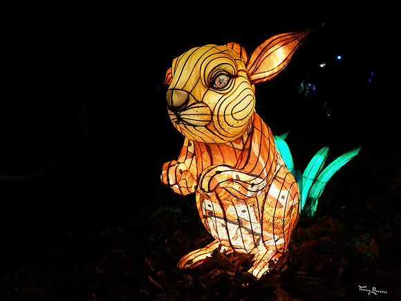 ouwehand_light_zoo_TH_0114